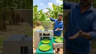 Making Eco-Friendly Plates From Banana Leaves! 🌿😲 #shorts #youtubeshorts #ytshorts