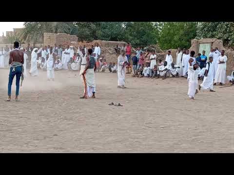 حفله محمد بكري البدواب الفاضلاب