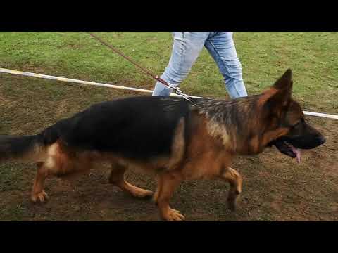 Video: Skirtumas Tarp Vidurinės Klasės Ir Aukštesnės Klasės