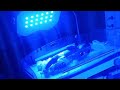 Nicu Dr babu is live!