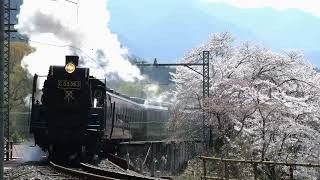 SL疾走  秩父鉄道  [パレオエクスプレス]   C58形 春のパレオ】秩父鉄道 C58「SLパレオエクスプレス」上長瀞・浦山口