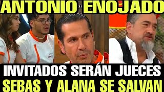 Top Chef Vip Telemundo 2023 SEBAS Y ALANA SE SALVAN!! ANTONIO ENOJADO!! INVITADOS JUECES #telemundo