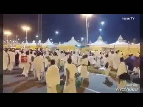 خدونى معاكم يا زوار النبى