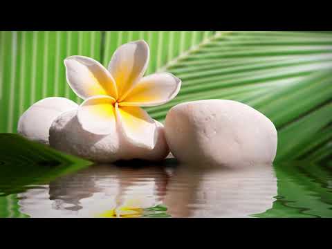 Chawucha by David
