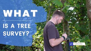 What is a tree survey