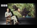 Sir David Attenborough's amazing gorilla encounter - BBC
