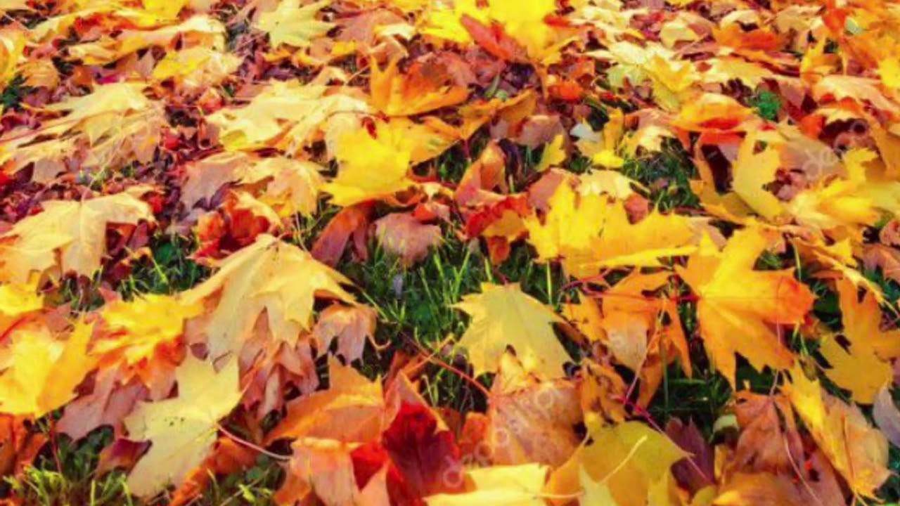 Կոմիտաս - Աշուն օր