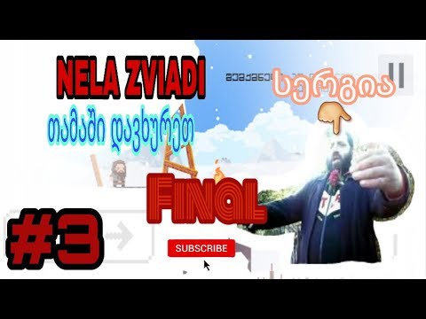NELA ZVIADI #3 (თამაში დავხურეთ და...)