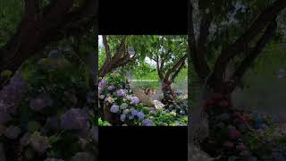 Finding Her Female Version Lyrics Aesthetic Song Edit