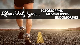 Celebrity Learn About Body Types | Ectomorphs, Mesomorphs, Endomorphs Net Worth