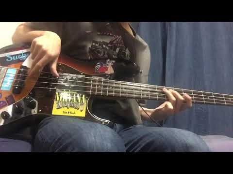 【Bass】andymori/ビューティフルセレブリティー ベース弾いてみた