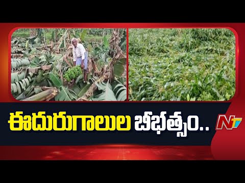 పార్వతీపురం మన్యం జిల్లాలో ఈదురుగాలుల బీభత్సం | Parvathipuram Manyam Distric | NTV Telugu - NTVTELUGU
