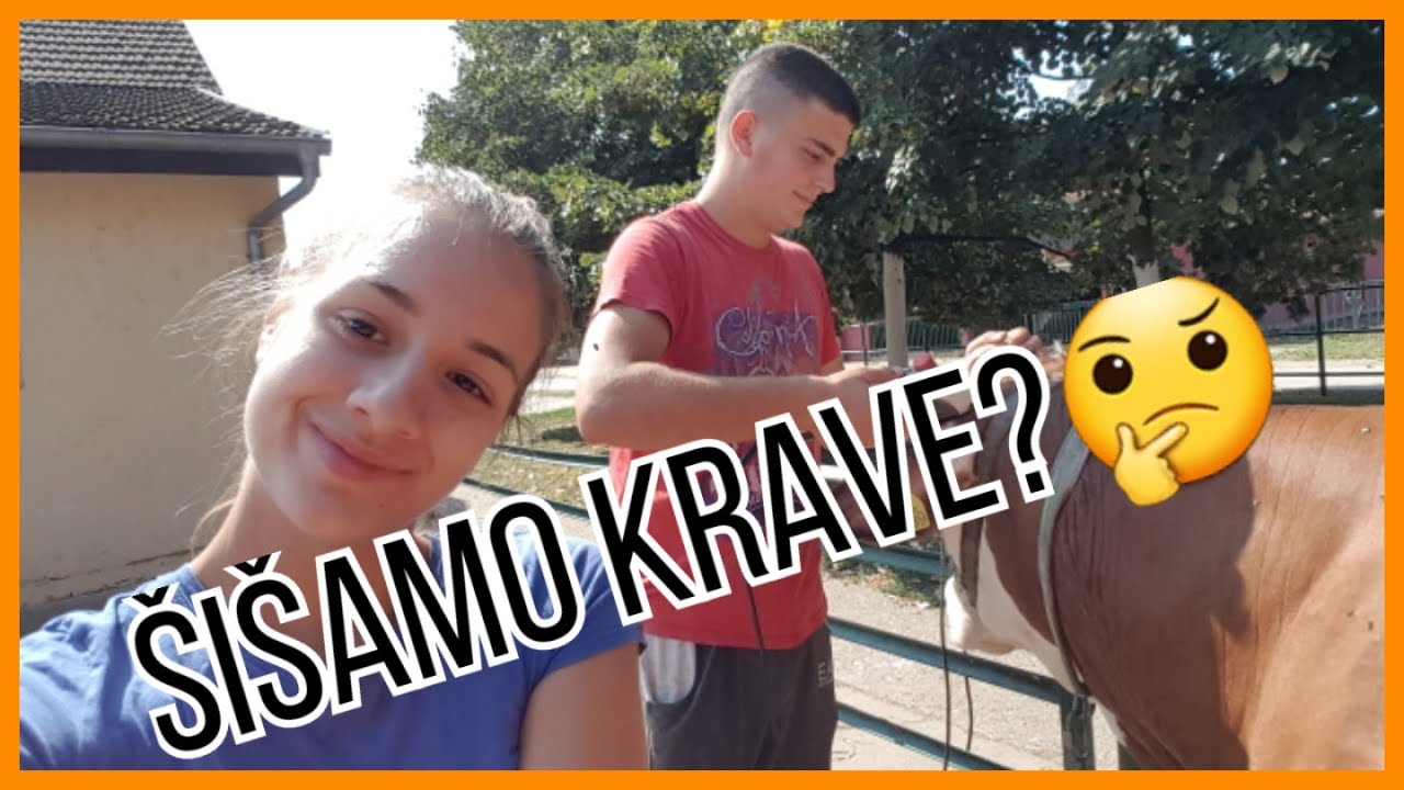 Šišanje krava i mali razgovor 🐄🐮 | Natalija Vasiljević