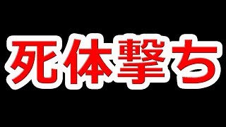 〇体撃ちはマナー違反か問題の件【NHG】