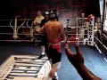 Roberto feliz sparring anthony cintron highlights