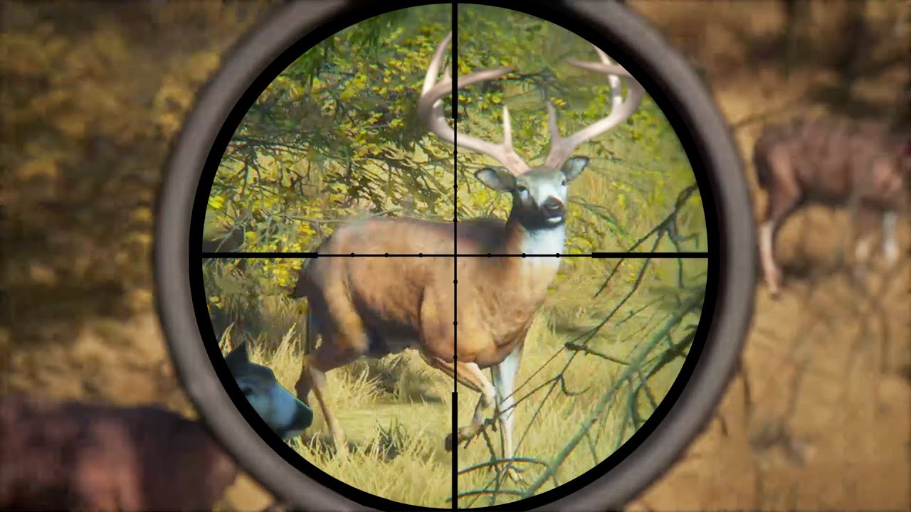 Hunting HUGE Whitetail DEER and TROPHY Elk in Hunter Call Of The Wild