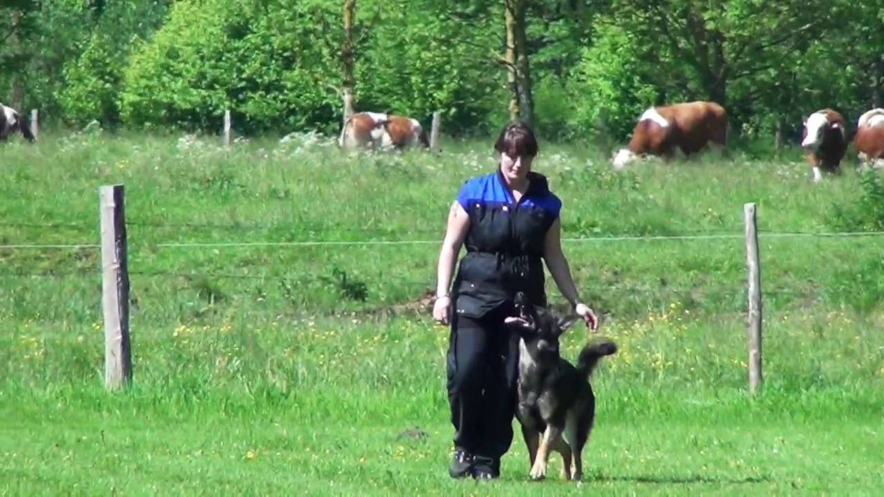 Una von der Wolfskralle YouTube