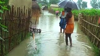 Celebrity South Asia: 1,300 Dead, 40 Million Impacted in Climate Change-Linked Flooding Profile