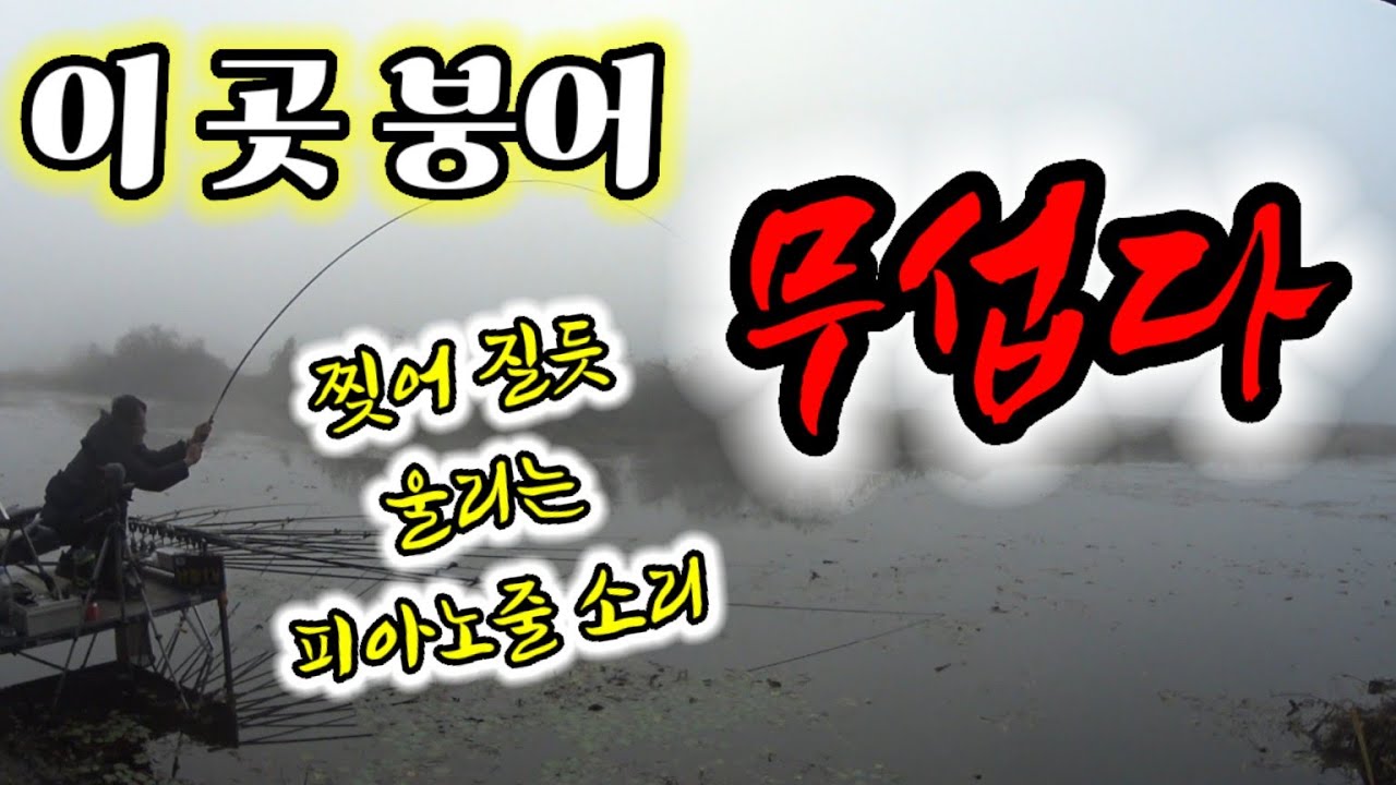 이래서 강낚시 강붕어 하는구나~/제압이 안되는 풀파워 위천 붕어!/마릿수 하고 왔습니다^^ - YouTube