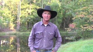 Ask Martin: When Is Your Horse Ready for the Hackamore?