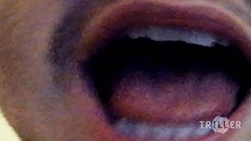 Lisp Sync - Linkin Park - In The End