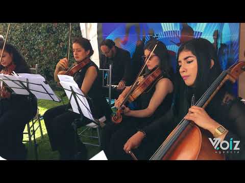 Cuarteto de Cuerdas Femenino para Eventos