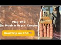 Road trip dans louest americain  des ptroglyphes de moab  bryce canyon city 13