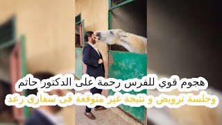 هج.وم قوي للفرس رحمة على الدكتور حاتم وجلسة ترويض و نتيجة غير متوقعة فى سفارى رعد