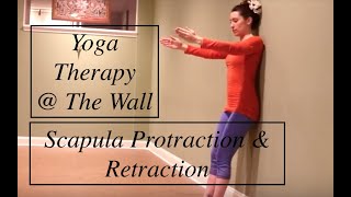 Scapula Protraction & Retraction: YOGA THERAPY @ THE WALL - LauraGyoga