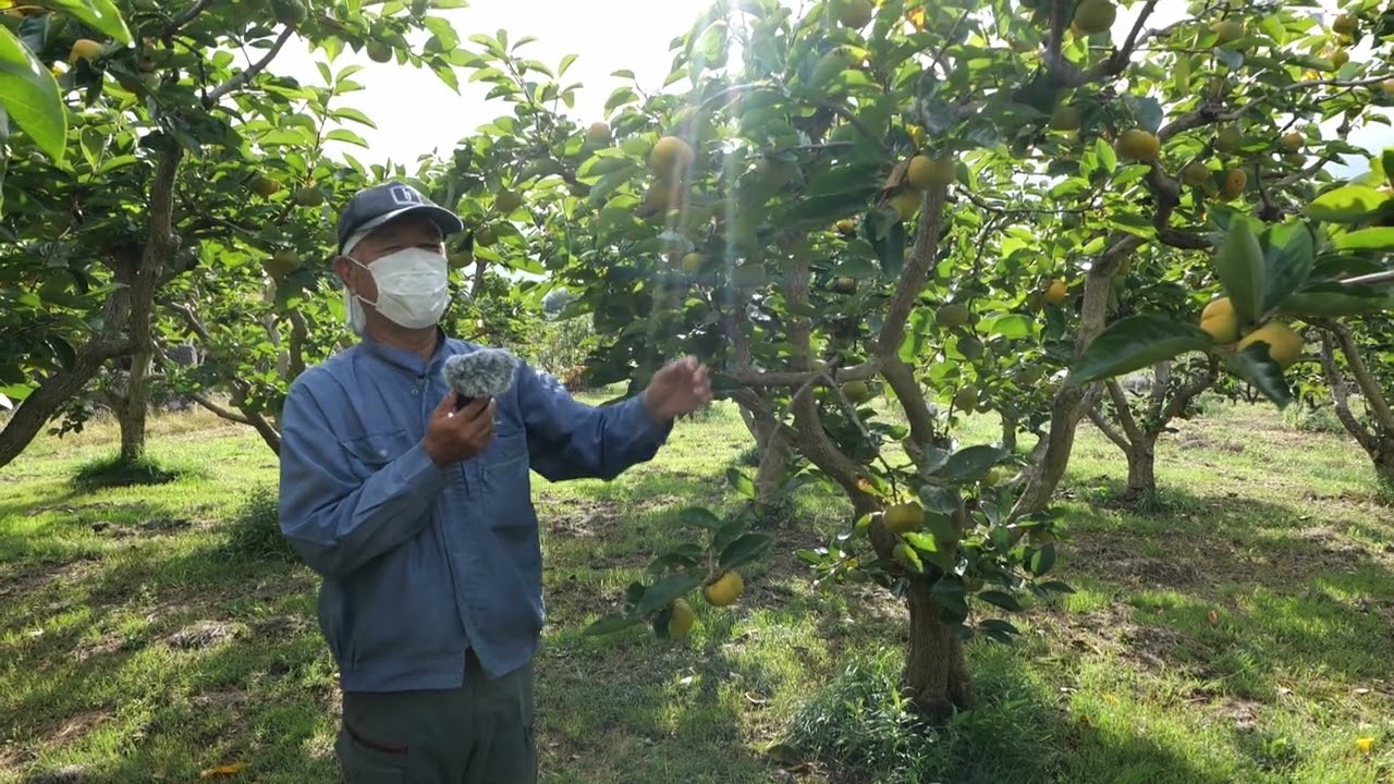 maxresdefault.jpg?sqp=-