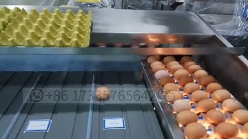 Egg Grader Machine/Weight Sorting Egg Grading Machine/High Quality Egg Grading Packing Machine