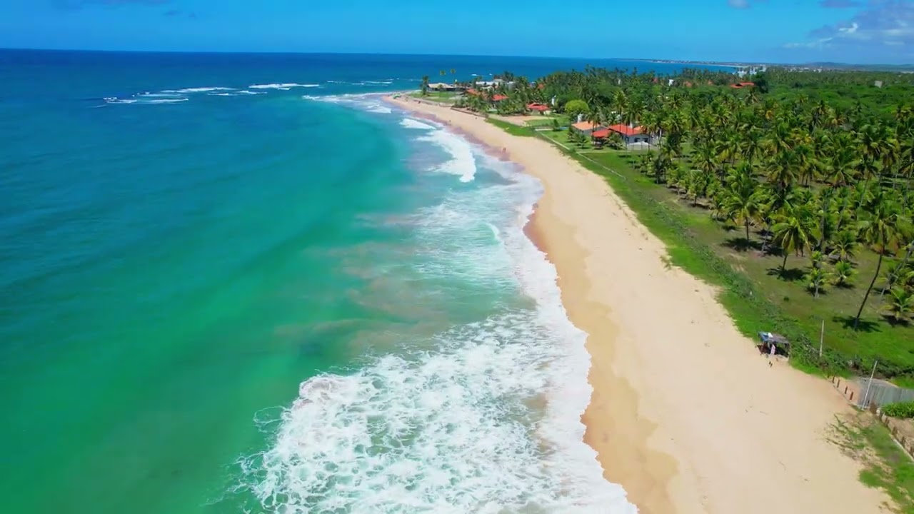 Praia de Muro Alto | Porto de Galinhas | Ipojuca | Pernambuco Brasil | Visto de Cima em 5.4K | Dji A