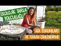 SERADA TOHUM FİLİZLENDİRME | ATA TOHUMLARI | EKOLOJİK TARLA YOLCULUĞU BÖLÜM 1