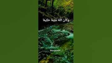 #القرانالكريم #القارئ #ياسر_الدوسري #تلاوات #قرآن #راحة_نفسية #قراءة_خاشعة #reels #quran #fyp #آيات
