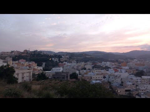 هذه جهنم سورة يس الشيخ محمد اللحيدان