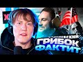 ДК смотрит Нюберг — Хайп и реакция 🚀