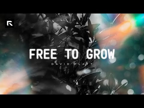 Free To Grow || David Platt