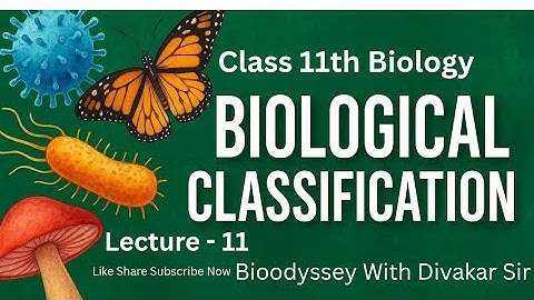 🌊 Cyanobacteria | Blue Green Algae | Class 11 Biology | Biological Classification 🦋 NCERT/CBSE/NEET