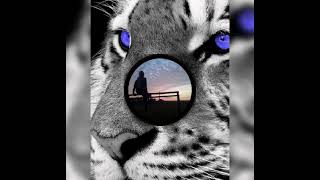 Музыка /Хаски\\\\\\ *Ihtihask - Hafix*