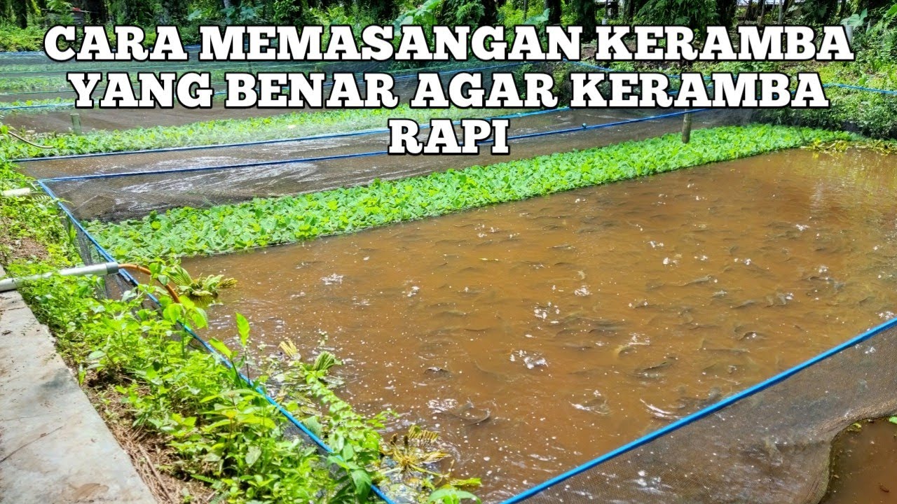 CARA PASANG KERAMBA IKAN YANG BENAR AGAR KERAMBA RAPI