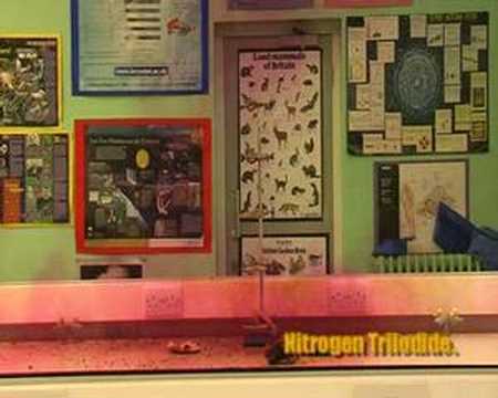 Nitrogen Triiodide
