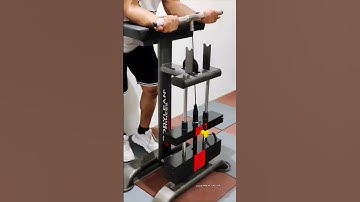 Bodylean Lebra Series wrist curl machine.