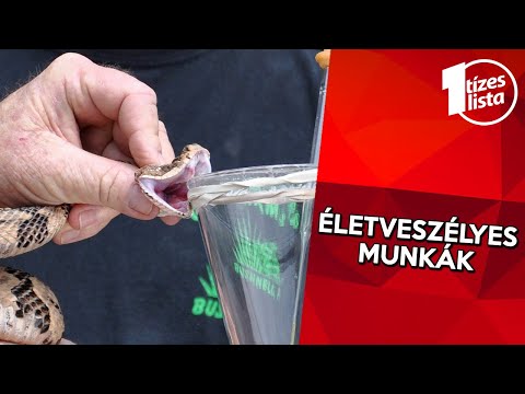 Videó: Mi A Legveszélyesebb Munka