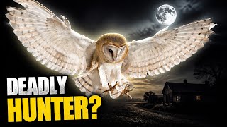 The Bizarre Truth About Fatal Owl Attacks!