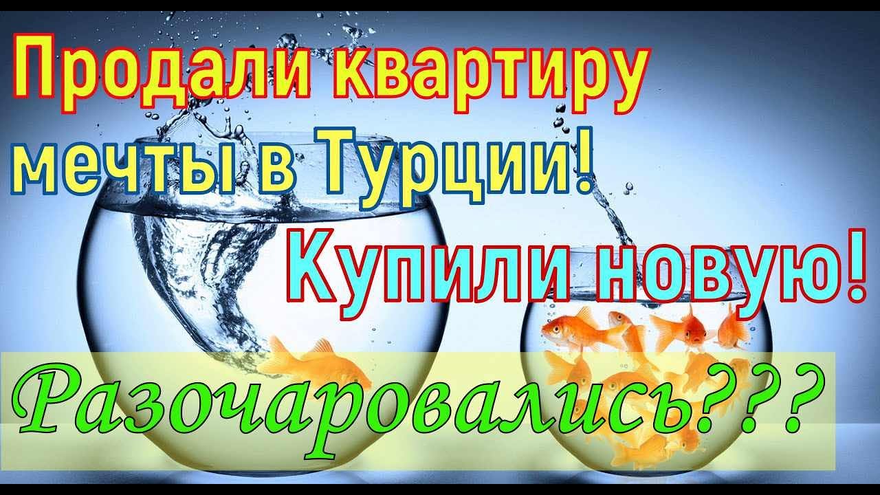 Продали свою квартиру мечты! Что случилось? Купили новую! Было ли ...