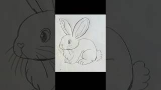 how to draw a rabbit🐇 #shorts #ytshorts #drawing #kids #sketches #rabbit #reels