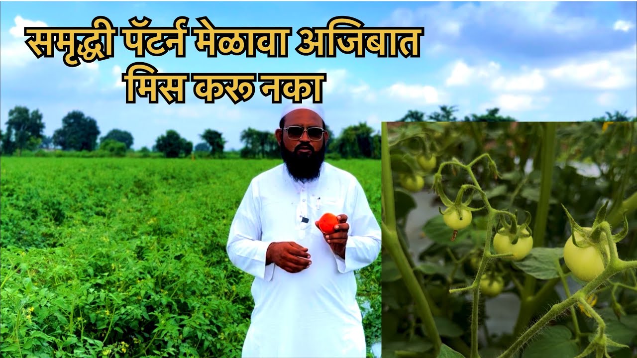 समृद्धी पॅटर्न मेळावा | शेतकऱ्याला समृद्ध करणारा मेळावा | समृद्धी ऍग्रो फार्मर 