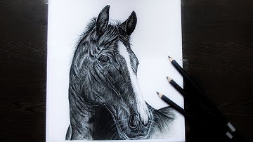 How to draw a realistic horse / step by step easy narrated tutorial for beginners / The Art Girl
