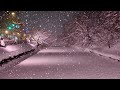 雪の弘前城公園 - Snowy Hirosaki Castle: Night Snow Sakura & Morning Stroll【4K Japan Walk】