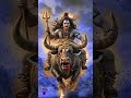 अजब है तेरी माया इसे कोई समझ ना पाया भोलेनाथ#comedy #ba #funny #भोलेनाथ #viral song#love